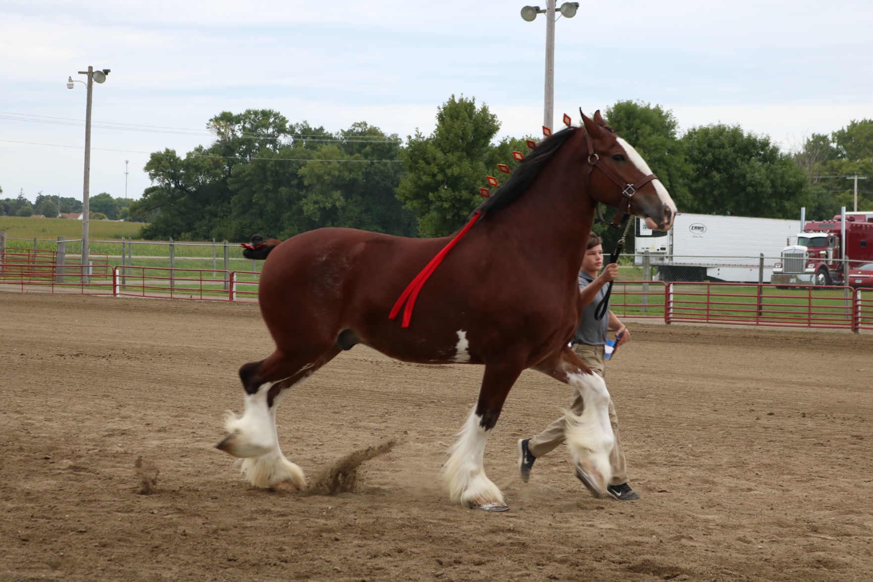Sr Showmanship 5